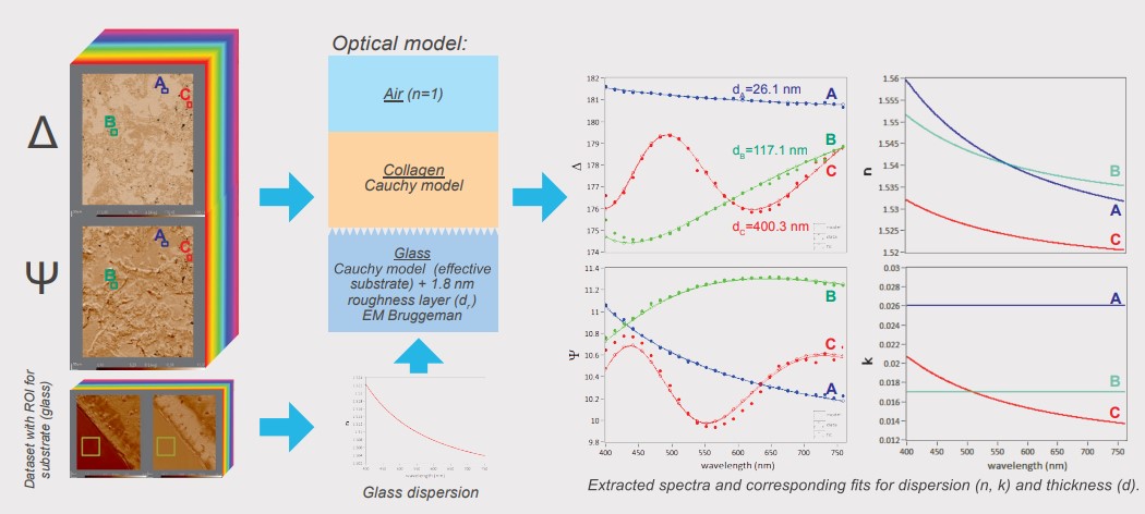 app26_fig07_fix.jpg