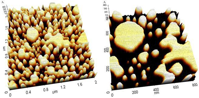 04-bio-atomic-force-microscope-lipid-vesicle-and-bilayer-3