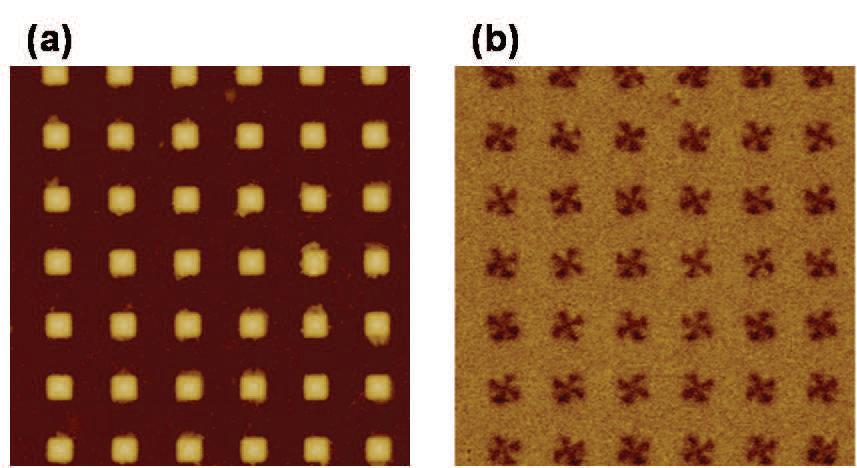 01-Patterned-arrays-magnetic-nanostructure-2