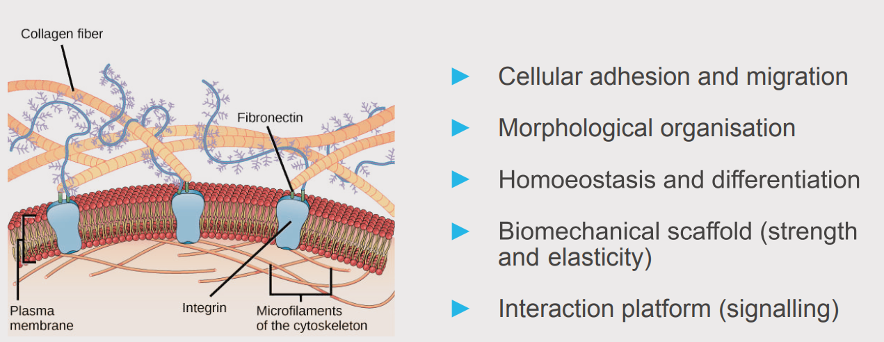 app26 fig01