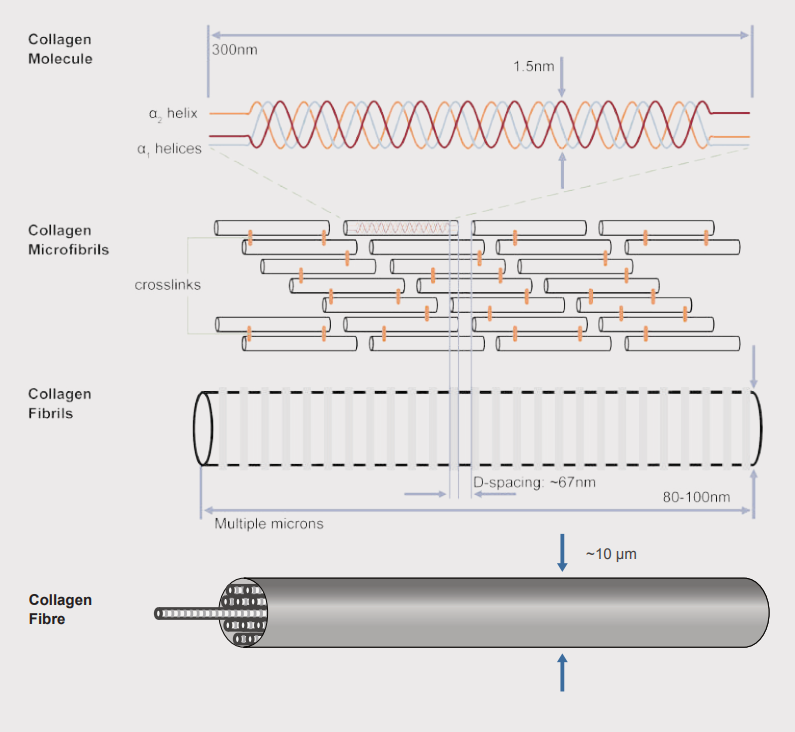 app26 fig02 1