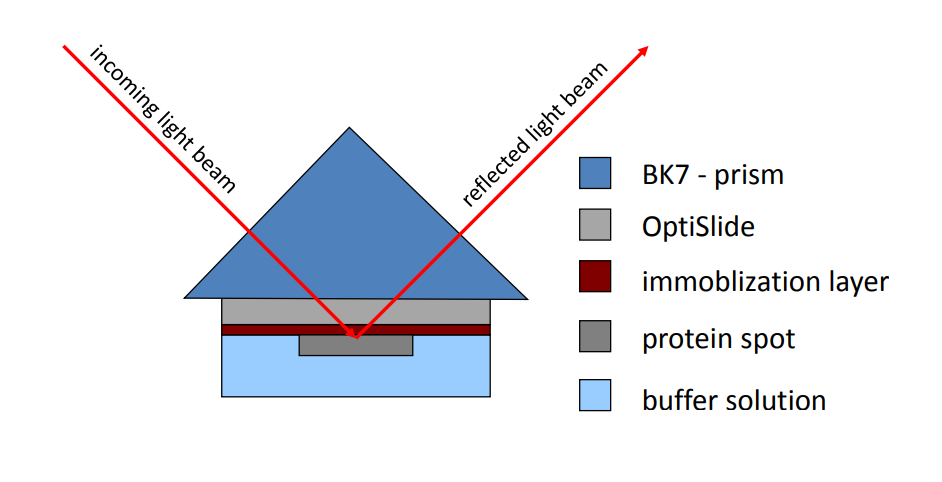 app28 fig23