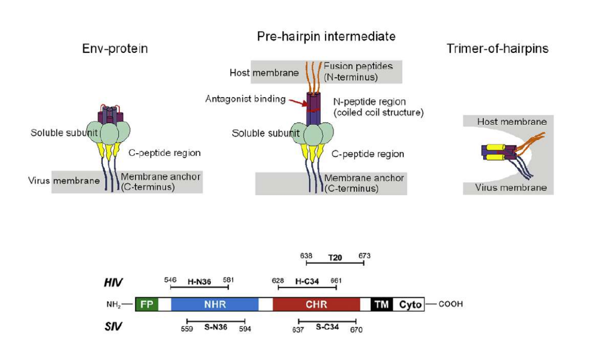 app28 fig27