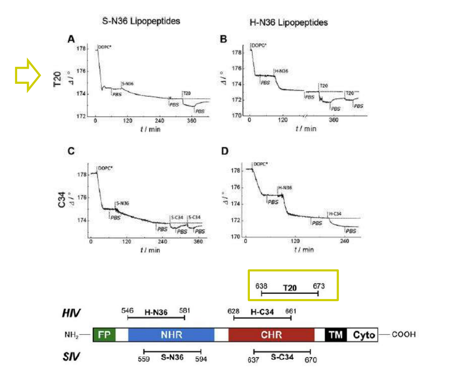 app28 fig30