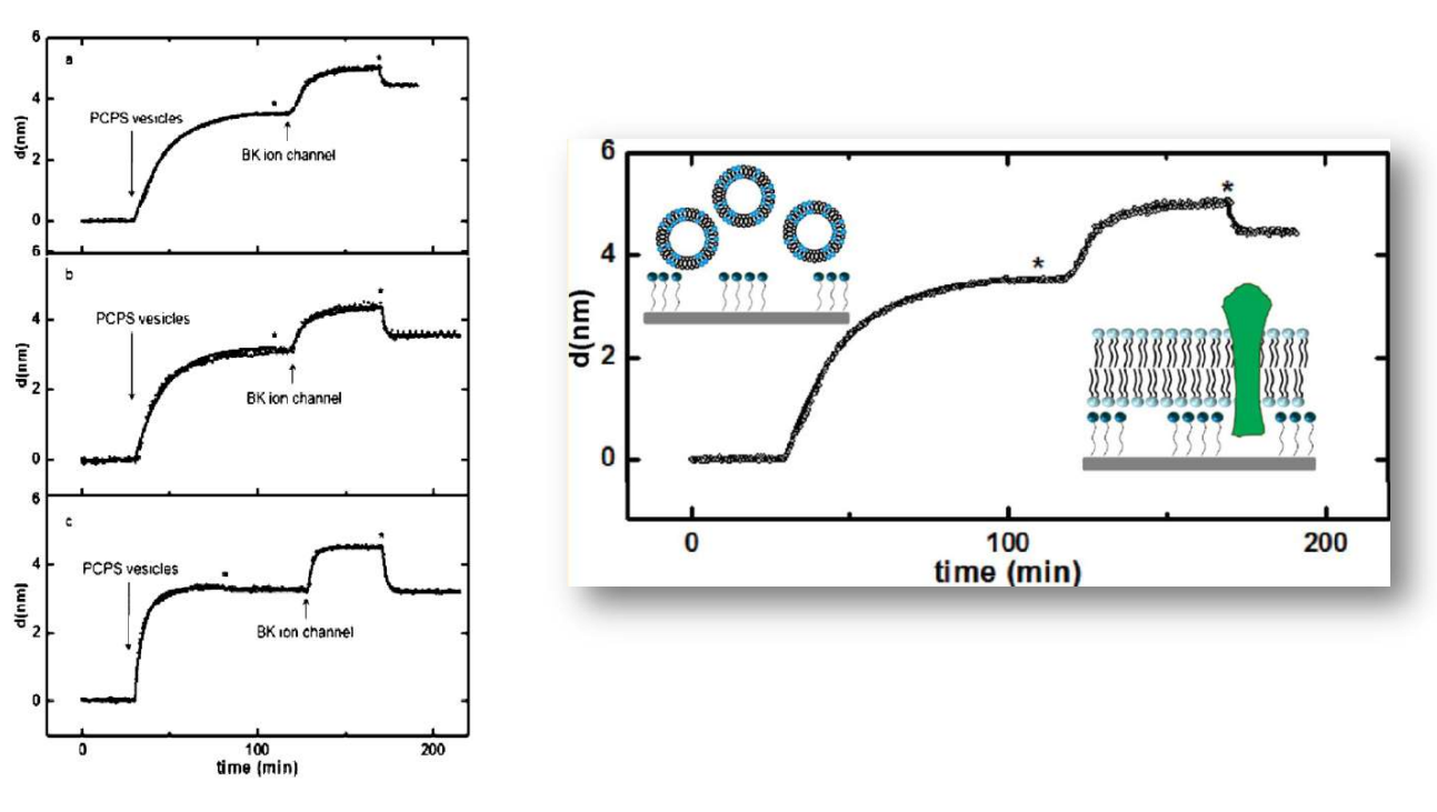 app28 fig32