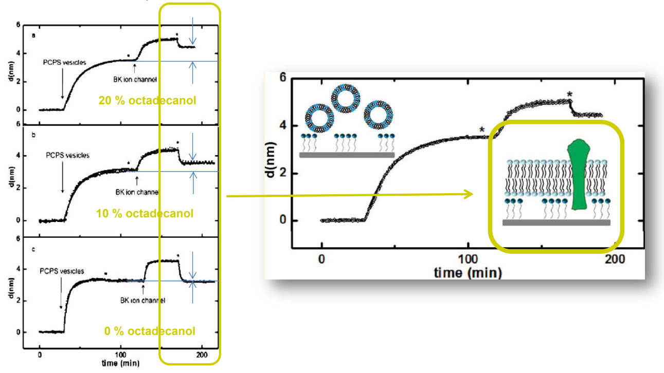 app28 fig37