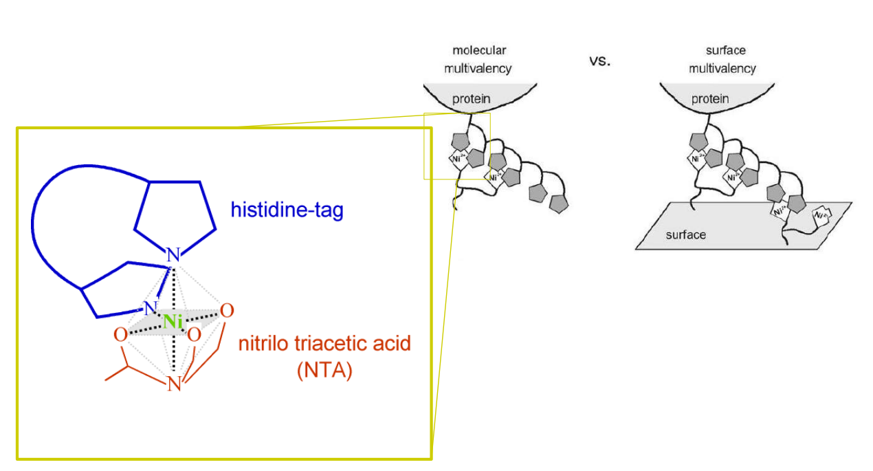 app28 fig39