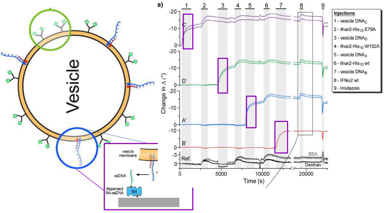 app28 fig56