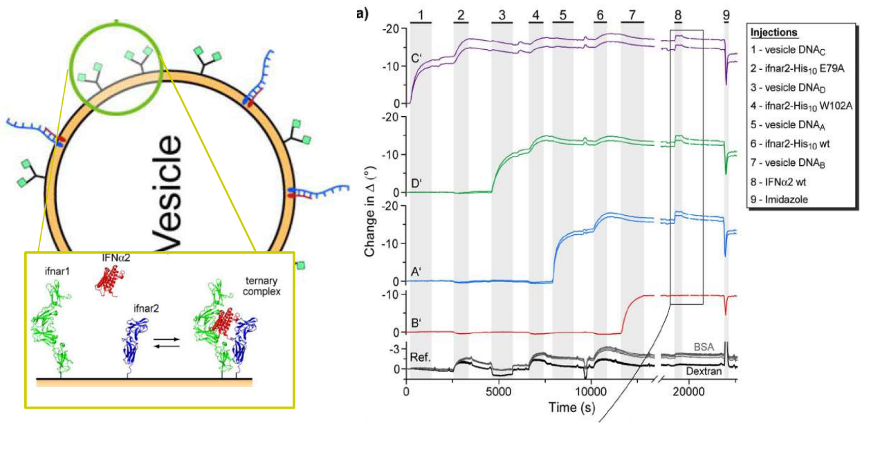 app28 fig57