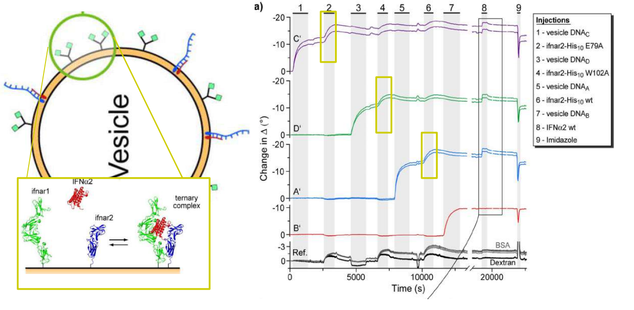 app28 fig58