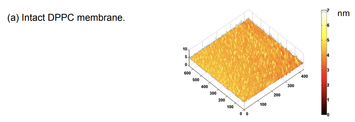 app28 fig67