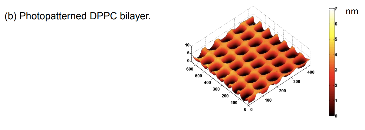 app28 fig68