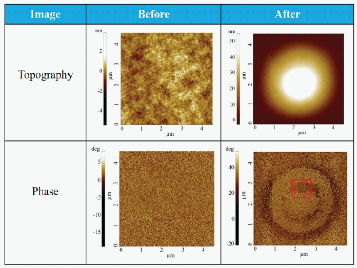 app47 fig2