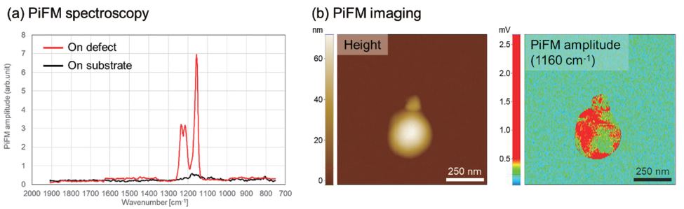 wp fig04