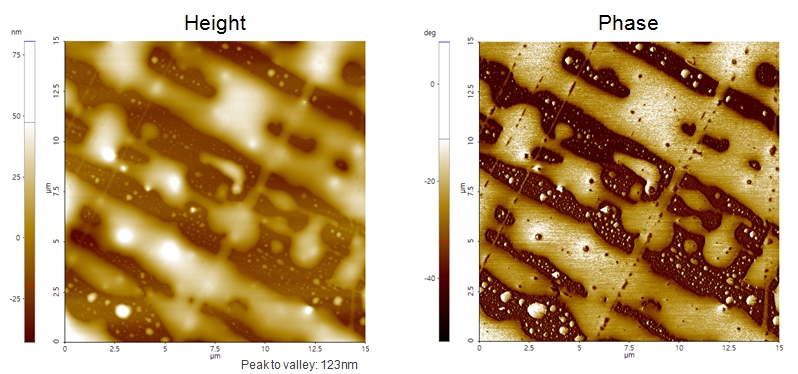 PDMS liquid crystal 2