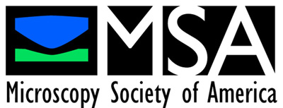 2017-MSA