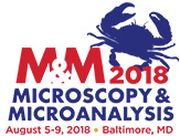 msa 2018