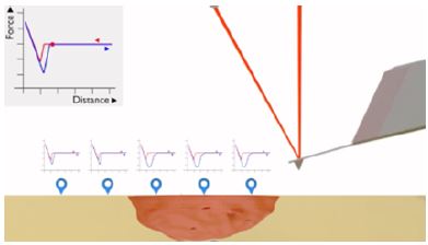 app40 fig1