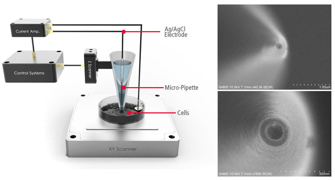 pipette